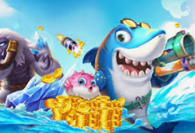 壹号下载app链接2024最新版